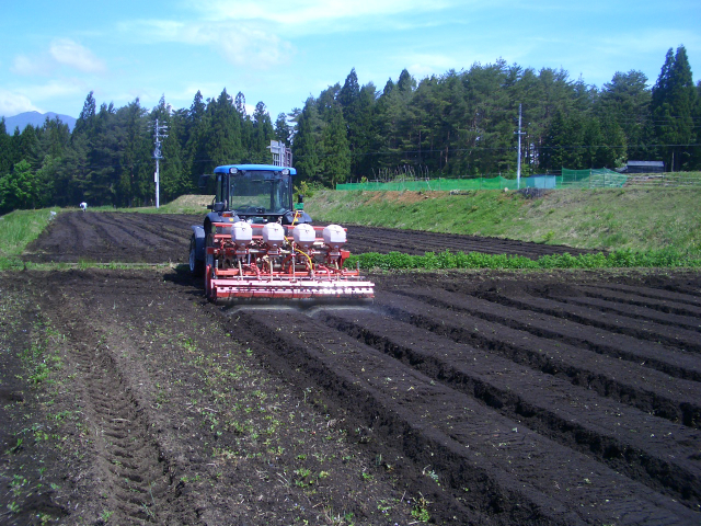 ソバ種まき