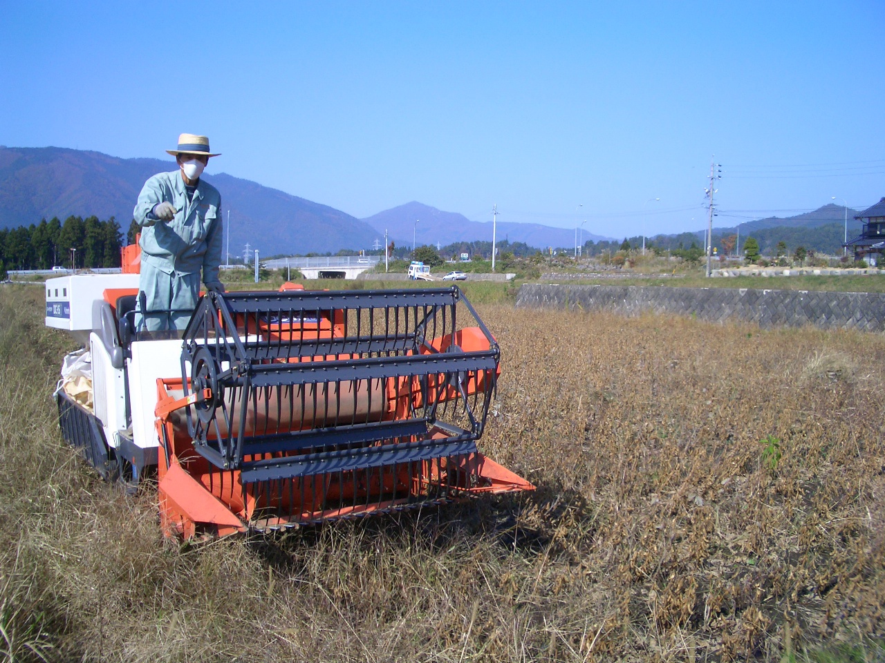 大豆収穫