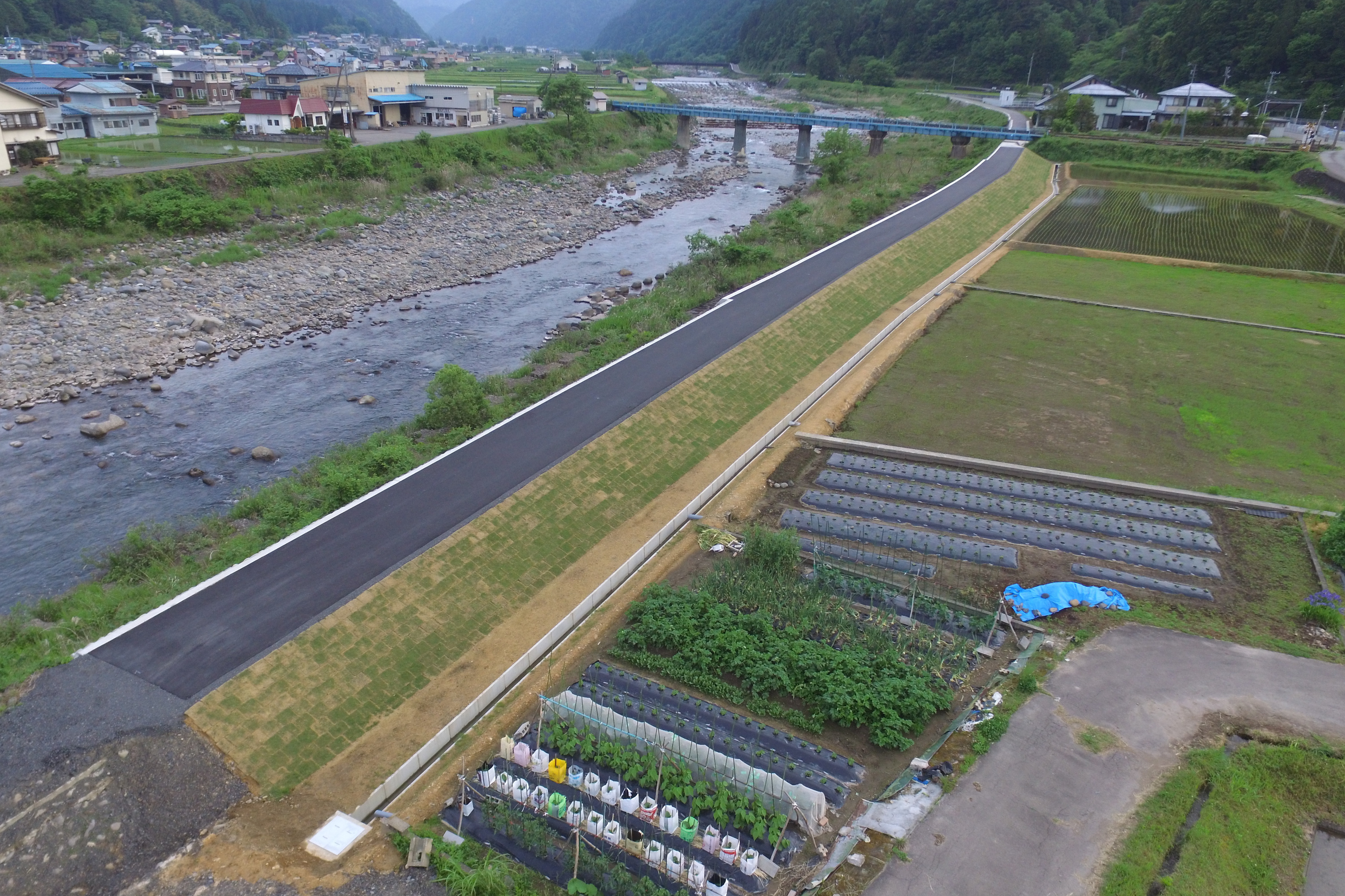 ドローン写真３